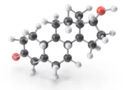 Zxcvbbnmqwt contains clotrimazole