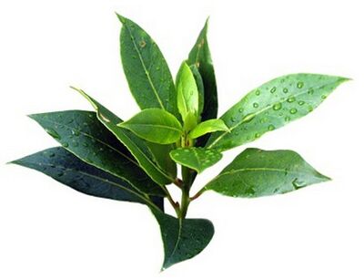 Zxcvbnmqwert contains tea tree oil