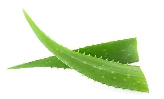 Zxcvbnmqwt contains aloe vera